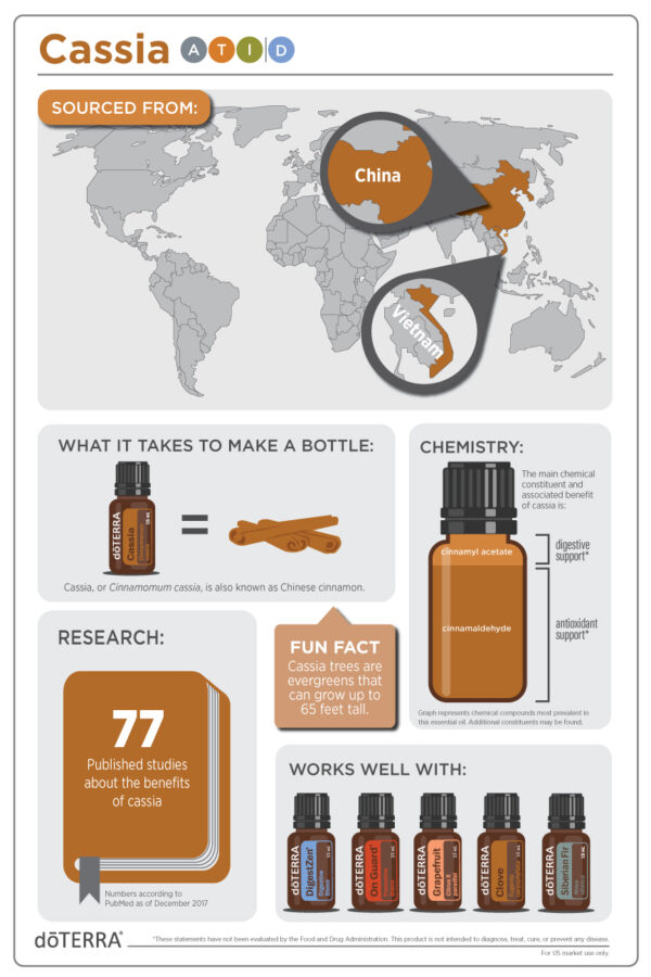 dōTERRA Kasszia (Cassia) | 10 ml - Image 4
