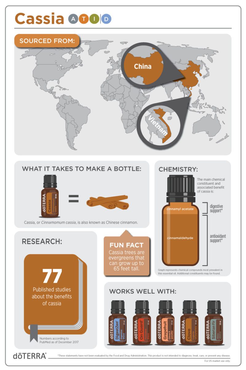 dōTERRA Kasszia (Cassia) | 10 ml - Image 4