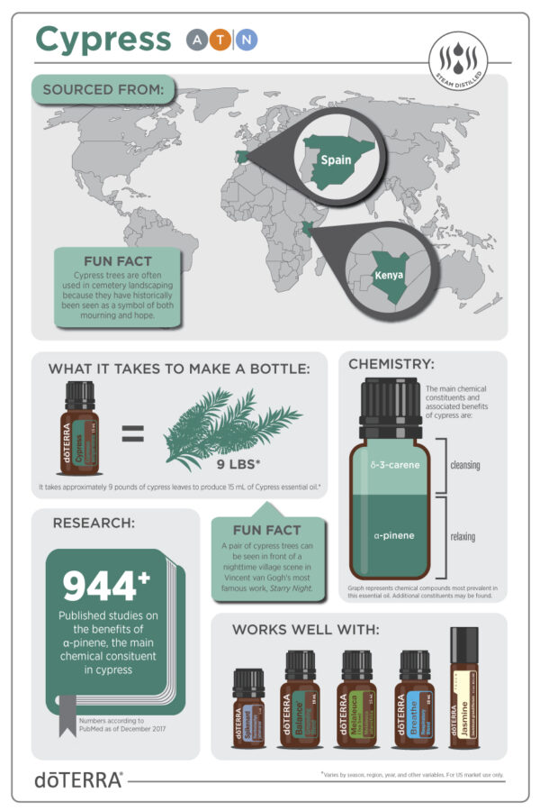 dōTERRA Ciprus (Cypress) | 15 ml - Image 4