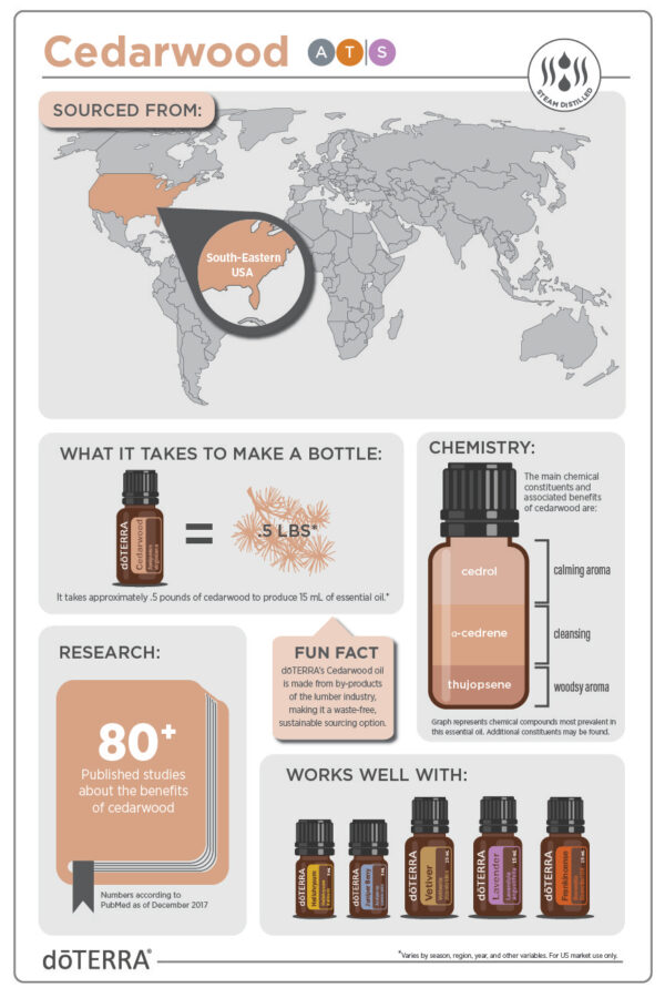 dōTERRA Cédrus Olaj (Cedarwood) | 15 ml - Image 4