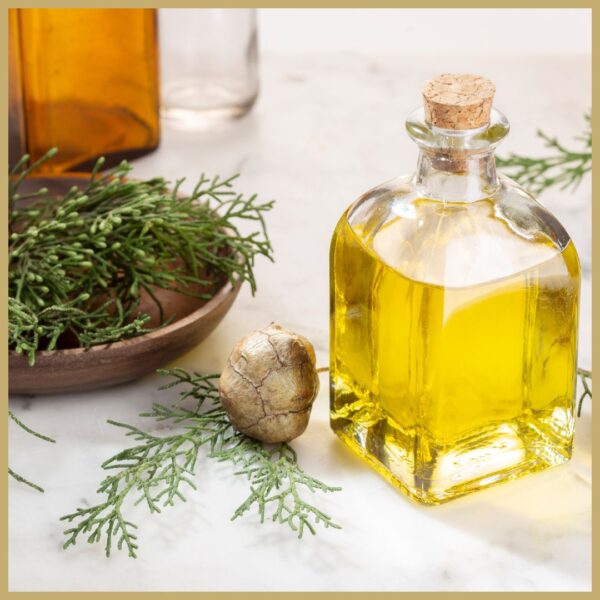 dōTERRA Ciprus (Cypress) | 15 ml - Image 3
