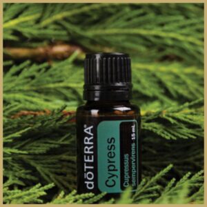 dōTERRA Ciprus (Cypress) | 15 ml