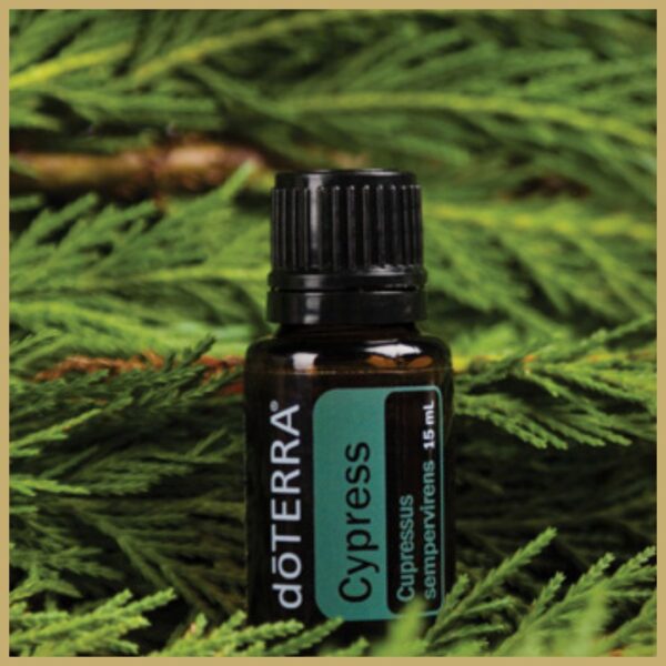 dōTERRA Ciprus (Cypress) | 15 ml