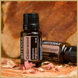 dōTERRA Cédrus Olaj (Cedarwood) | 15 ml