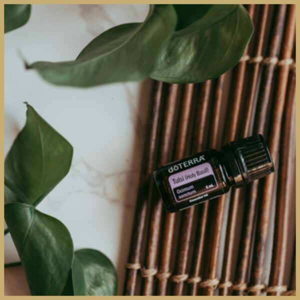 dōTERRA Szent bazsalikom (Tulsi) | 5 ml