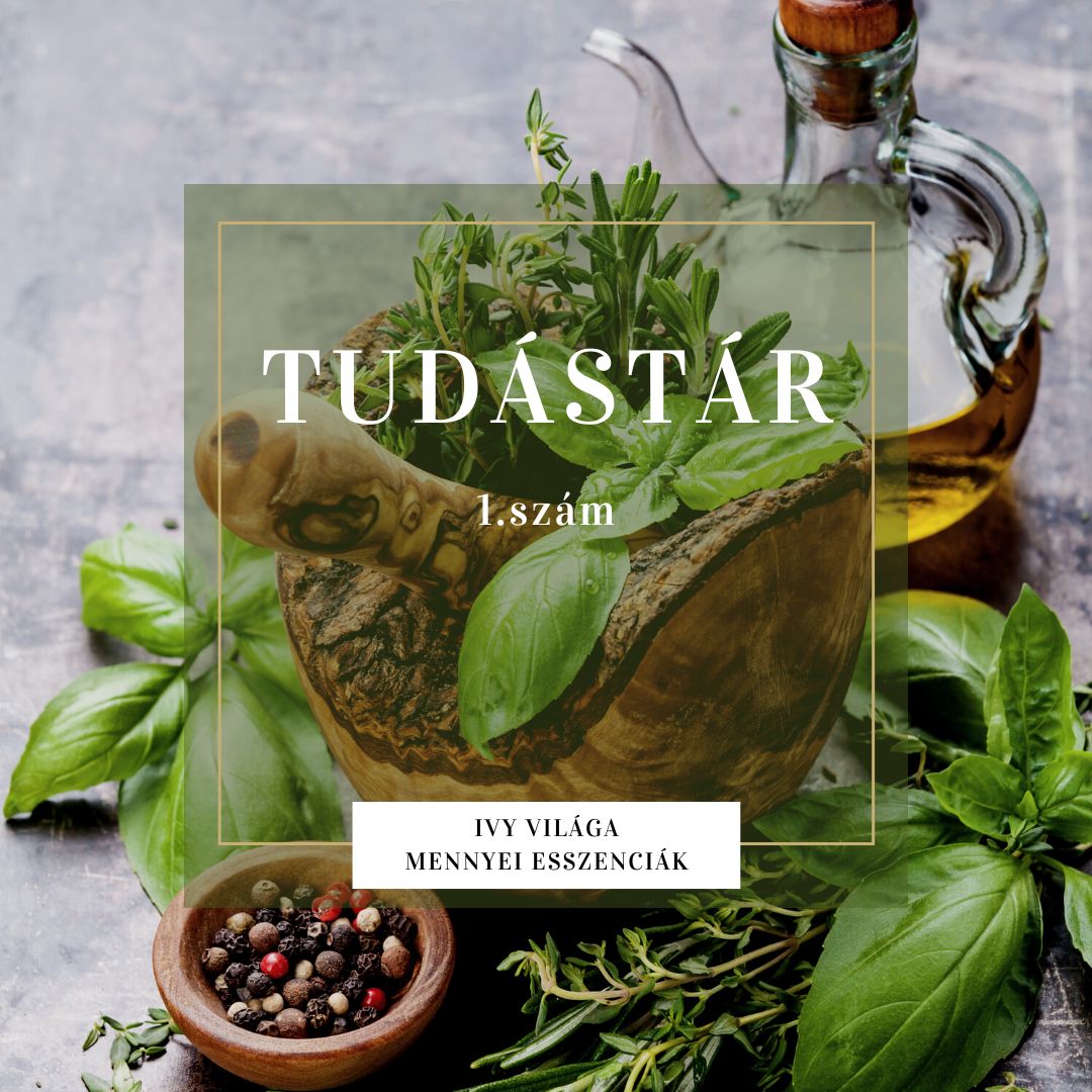 Tudástár 1. szám