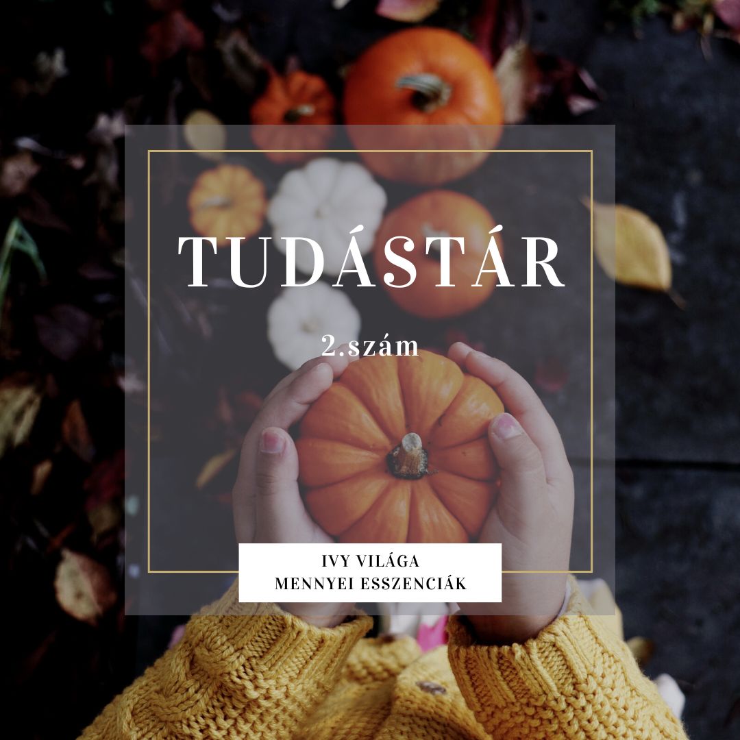Tudástár 2. szám
